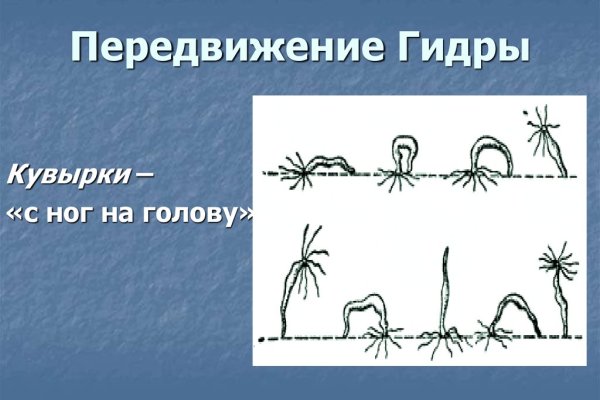 Регистрация на kraken